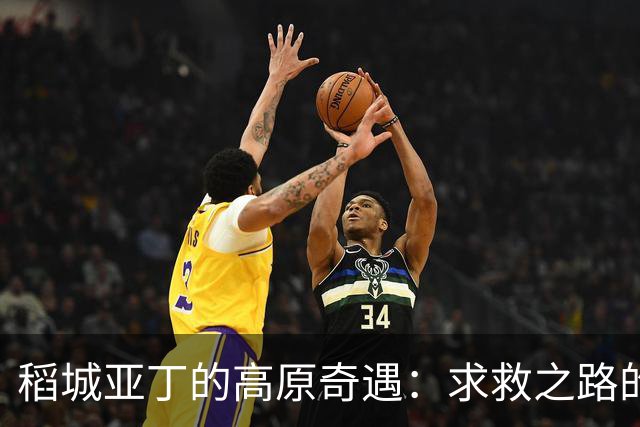 稻城亚丁的高原奇遇：求救之路的滑稽与反思